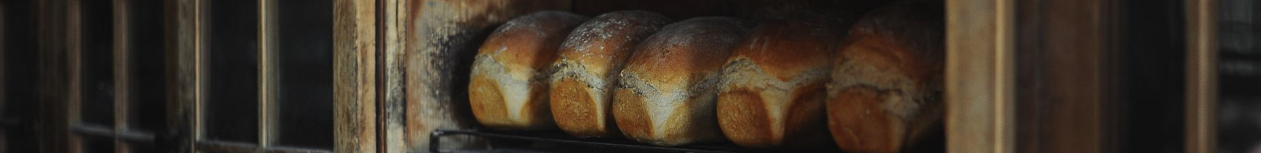 Eko Brood